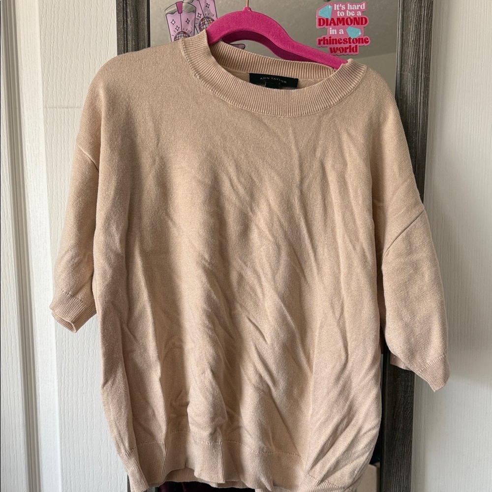Ann Taylor Beige Knit Blouse
